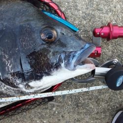 梅雨明け秒読み